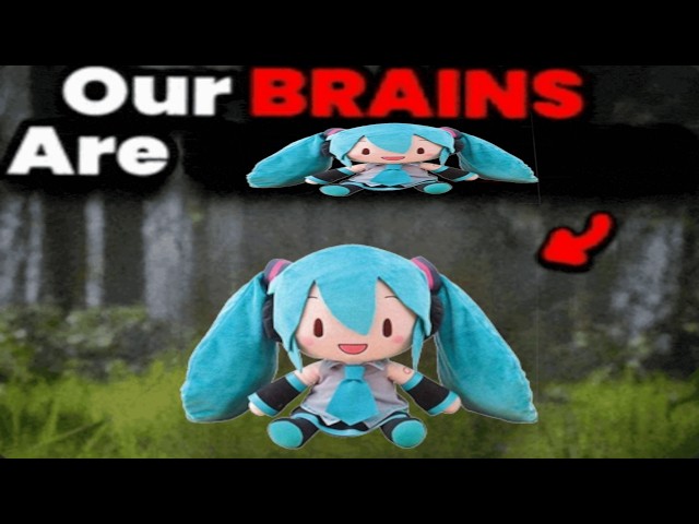 sddefault.jpg