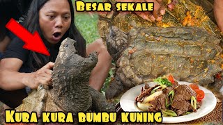 KURA KURA RAKSASA BUMBU KUNING