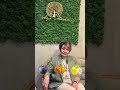 Detox in Armenia  / Օրգանիզմի մաքրում