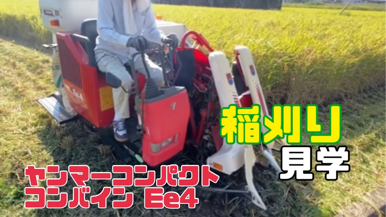 稲刈り2024！ ヤンマーEe4×ヒノヒカリ - YouTube