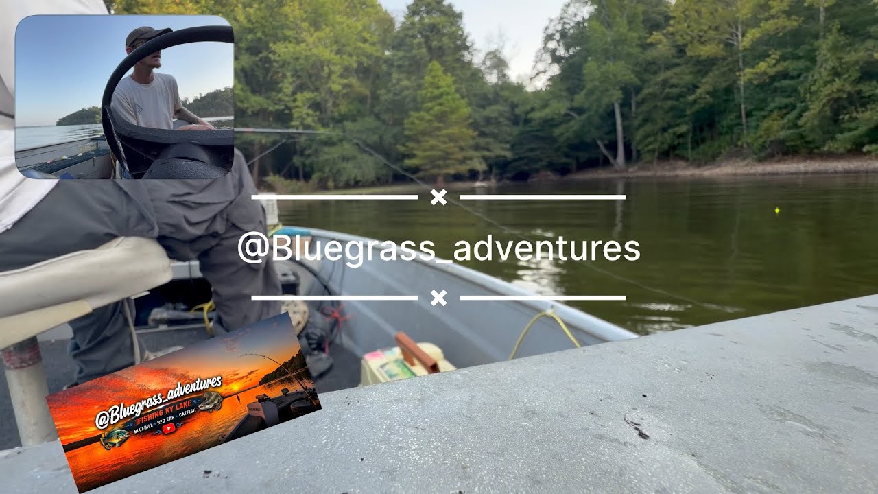 Are Coikes effective for species other than bass? #fishing #outdoors #coike #urchinbait