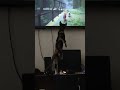 while playing #stray #straycat #short #shorts #funny #cat #cute #subscribe #foryou #sub #youtube