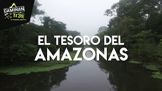 LOS MISTERIOS DEL AMAZONAS, LA SELVA MÍSTICA || CaminanTr3s, El tercero eres tú!