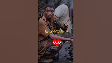 تلاوة سورة الكافرون | قل يا أيها الكافرون بصوت مؤثر