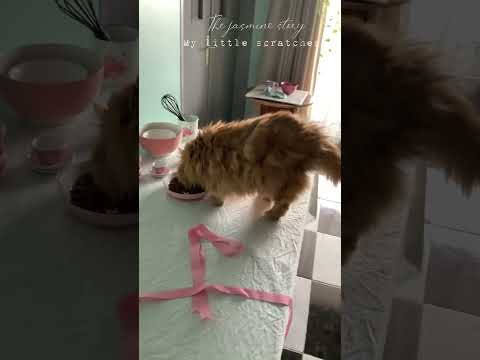 افتقدك بشده