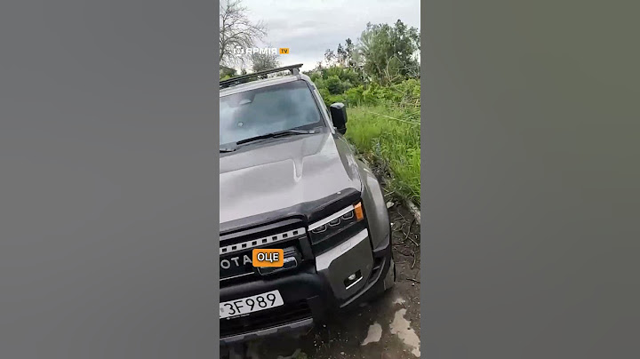 A Pole accidentally drove into a combat zone