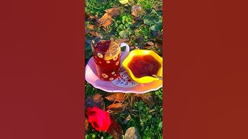 #quran #تلاوة_قرآن #القرآن_الكريم #qurankareem #quranforthesoul #خشوع #تلاوة_مؤثرة #تلاوة_خاشعة #cat