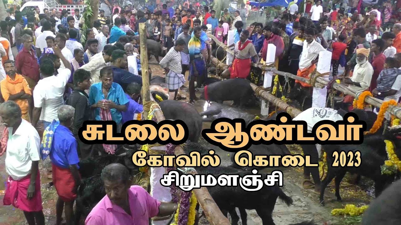 Sirumalanji  Sudalai Andavar kovil kodai | சிறுமளஞ்சி சுடலை ஆண்டவர் கோவில் கொடை