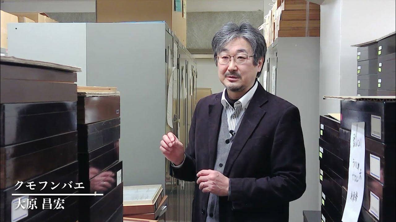 クモフンバエ【昆虫4】 YouTube