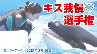 ラビーちゃんとトレーナーさんの♡キス我慢選手権【2023年5月16日】鴨川シーワールド