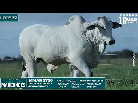 LOTE 37 MMAR 2756