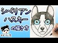 コレクション ハスキー 犬 イラスト かわいい 293399-犬 かわいい イラスト フリー