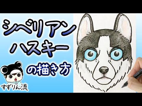 犬のイラスト きりっ とした シベリアンハスキーを描いてみました Youtube