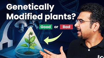 Why US is pressurizing us to buy GM crops? | GM crops explained | TCC