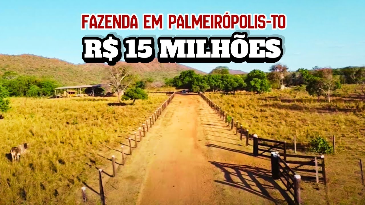 💰 BAIXOU o Preço! Fazenda de 1423 HA em Palmeirópolis TO — Pronta para Produzir!