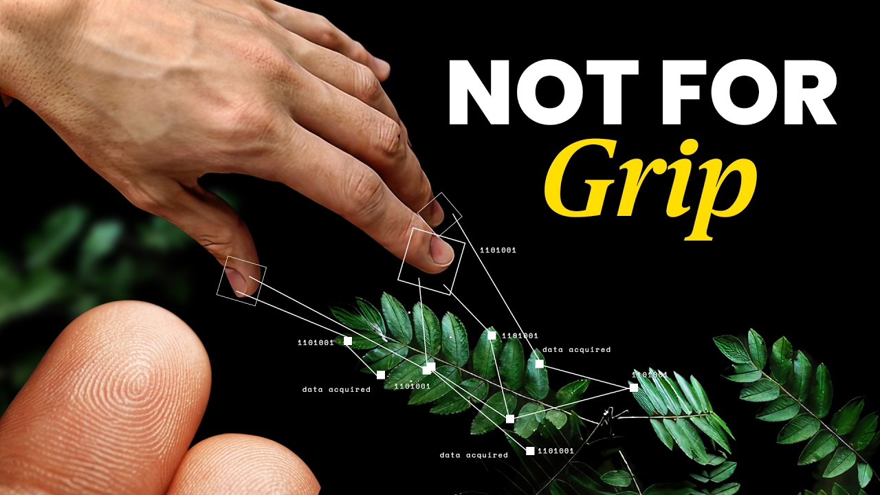 Для чего на самом деле нужны отпечатки пальцев?