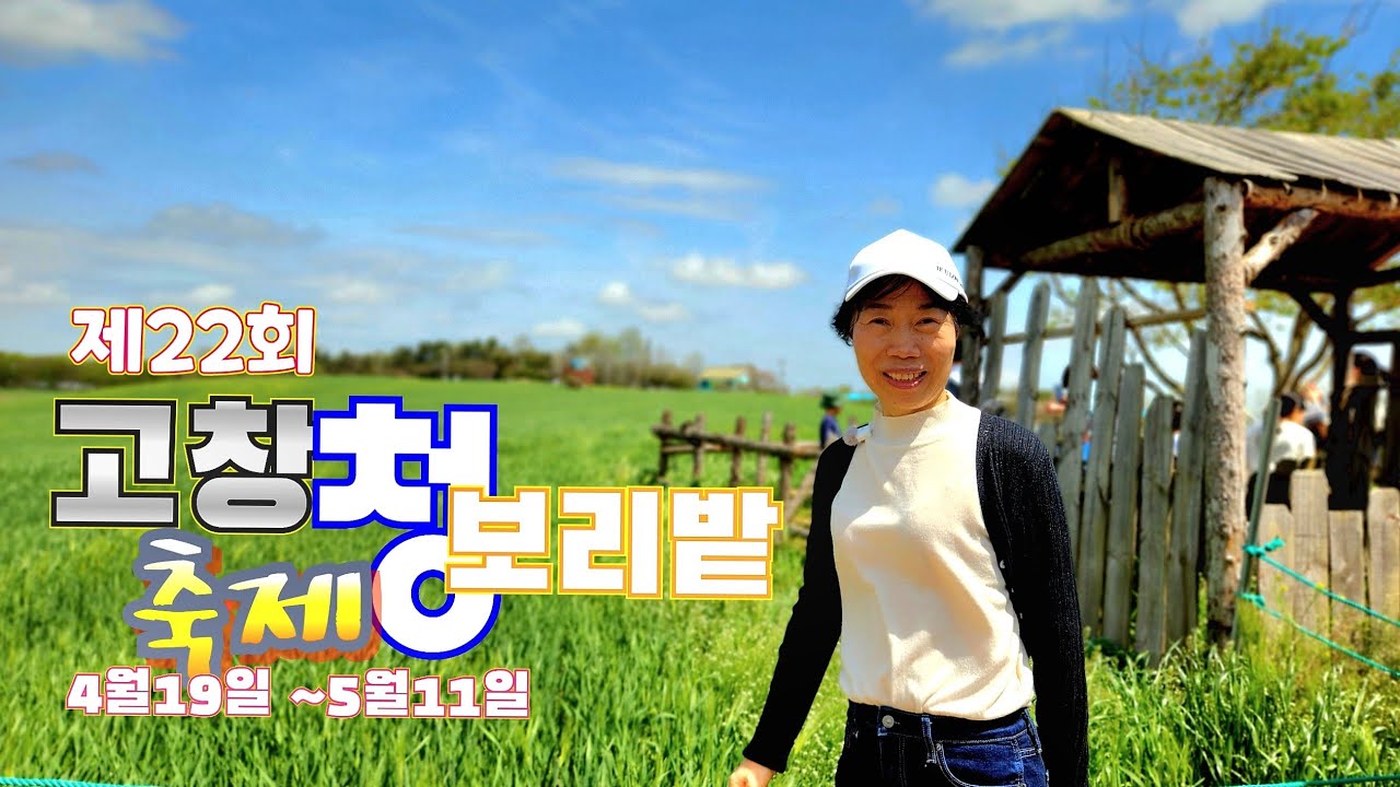 고창청보리밭 청보리밭축제 유체꽃밭 폭싹 촬영지 25년 4월19일~5월11일 학원농원