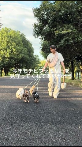 この1分に、1年分の想いを…🐾#shorts