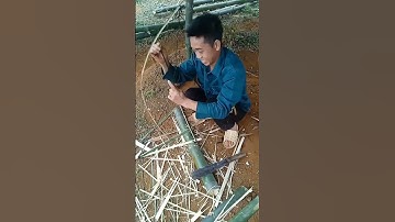 Hướng dẫn làm bẫy chuột bằng tre nứa cực dễ cho những người hay đi rừng