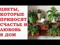 ЦВЕТЫ, КОТОРЫЕ ПРИНОСЯТ СЧАСТЬЕ И ЛЮБОВЬ В ДОМ