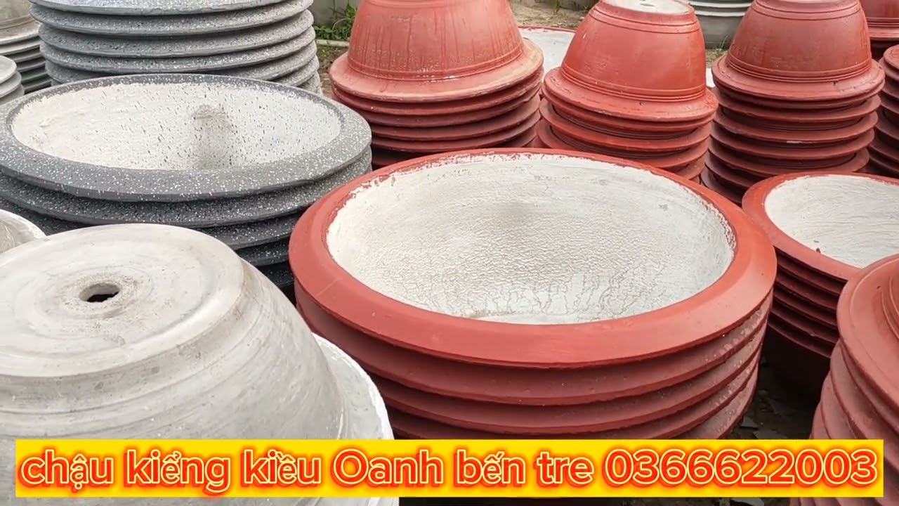 chậu kiểng kiều Oanh bến tre chuyên sản xuất các dòng chậu xi măng, các loại nhiều mẫu mã