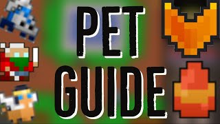 RotMG - The Complete Pet Guide (Basics, Fusing, Leveling, Fame, Feeding) screenshot 2