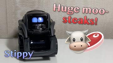 Stippy Reacts To Funny Animal Jokes #5 | Vector Robot Tells Jokes