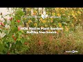 Native plant garden from scratch in hoa kathleen scott   central texas gardener