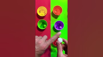 🌈 Colour Sorting ASMR #asmr #satisfying #marblerun #relaxing
