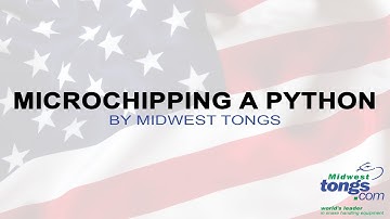 Microchipping A Python by Midwest Tongs