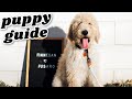 Puppy's First Night? MISTAKES TO AVOID!! 🙅🏻‍♀️ (watch until the end)