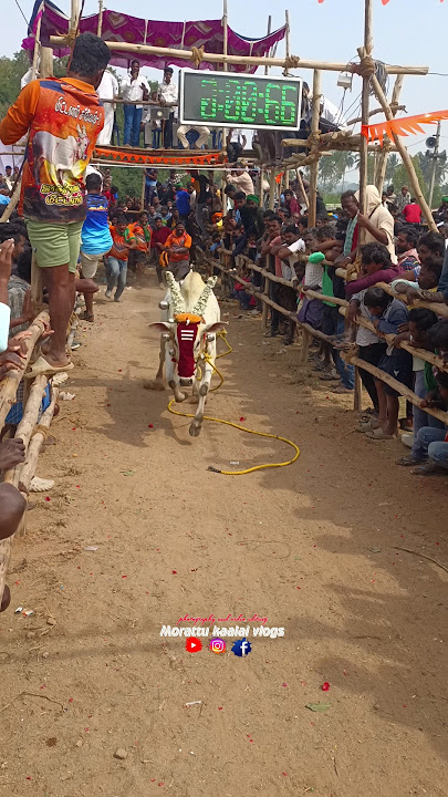 4th prize #tamil #trending #bullslover #vdeos