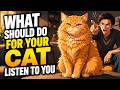 Why Your Cat Ignores You | Simple Cat Training Tips That Actually Work
