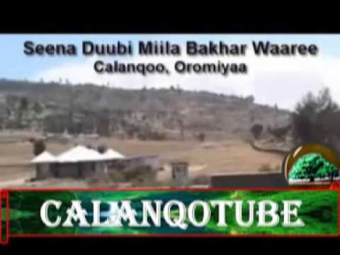 01 2 D Jaafar Alii Seenaa Duubi Miila Bakhar Waaree