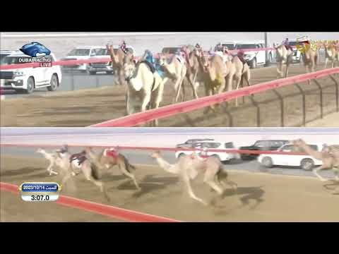 ش13 خيال لـ محمد حمد سالم الدرعي تأهيل المرموم الأسبوع الرابع 14 10 2023 لقايا بكار 6 00 3