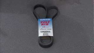 Dayco Poly Rib W Serpentine Belt on TruckU TV!