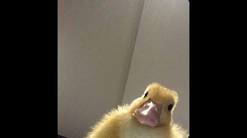 krunker model render tutorial