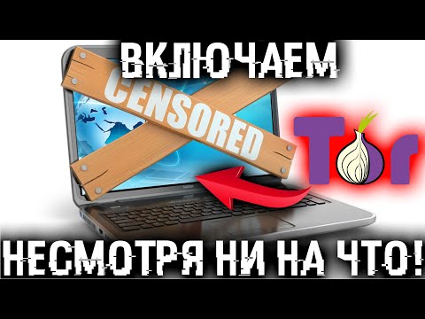 как установить tor browser на компьютер mega