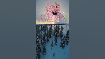 راحة نفسية القارئ رعد محمد الكردي حالات واتس اب🍁 مونتاج خلفيات