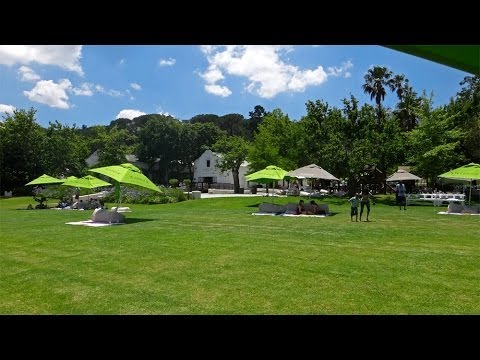 Picnic At Warick Wine Estate