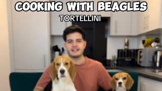 COOKING WITH BEAGLES | Tortellini
