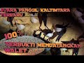 Suara Panggil Kaltimtara Kalimantantimur Kutaikartanegara Mp3 - Mp4 Download