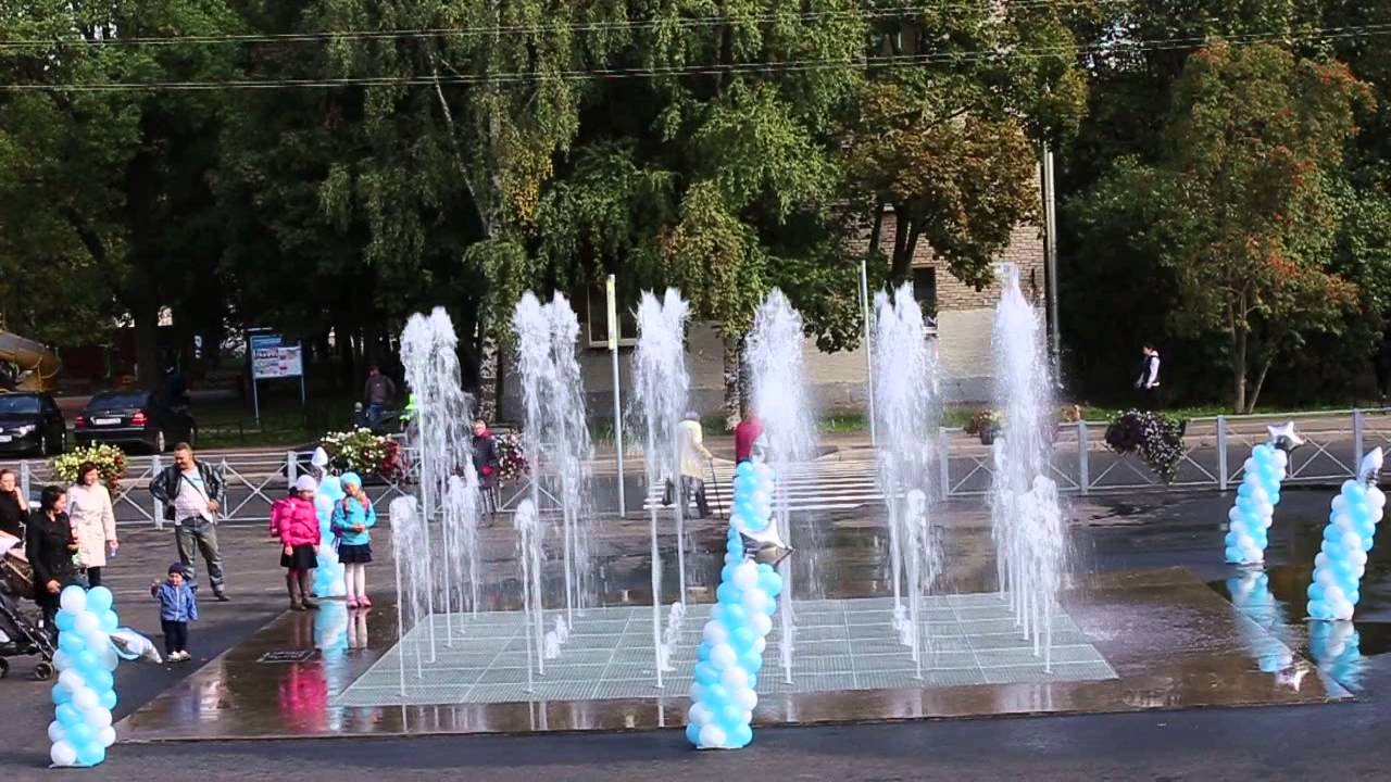 Осаго в сестрорецке