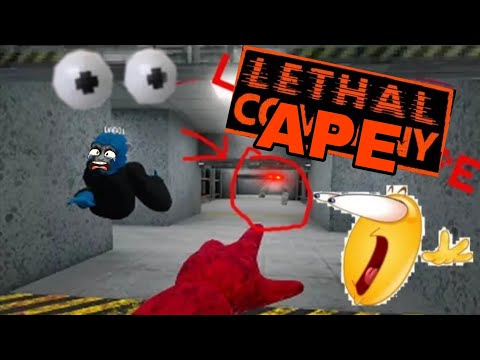 Видео: LETHAL APE | хоррор с управлением как в горилла тэг!