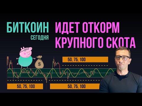 Video: Bitcoin файлбы?