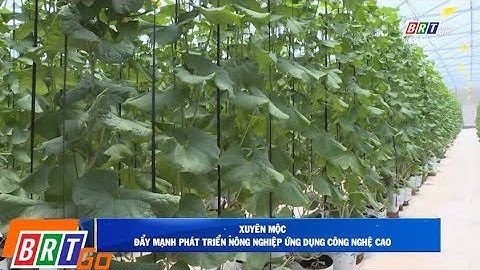 Huyện Xuyên Mộc đẩy mạnh phát triển nông nghiệp ứng dụng công nghệ cao