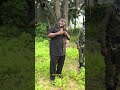 I went with my brother that is a officer to the tree kingdom and this happened