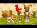 СИМУЛЯТОР КОТА и КОШКИ #6 Родился котенок