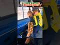 バスの運転手が障害者に毎日していることとは？What do bus drivers do to disabled people every day?#dog #shorts#犬#障害者