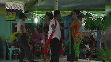 13. KACU KUNING _ WBL _ GENDING TAYUB JAWA TIMUR MEMANG MANTAP